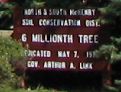 6 Millionth Tree